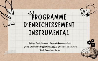 Le Programme d&rsquo;Enrichissement Instrumental (PEI)