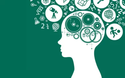 Le SRLIS et le MAI, deux outils complémentaires