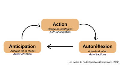 Complémentarité des outils SRLIS et SRL Microanalysis : Pour une analyse intrasujet approfondie des stratégies d’apprentissage autorégulé