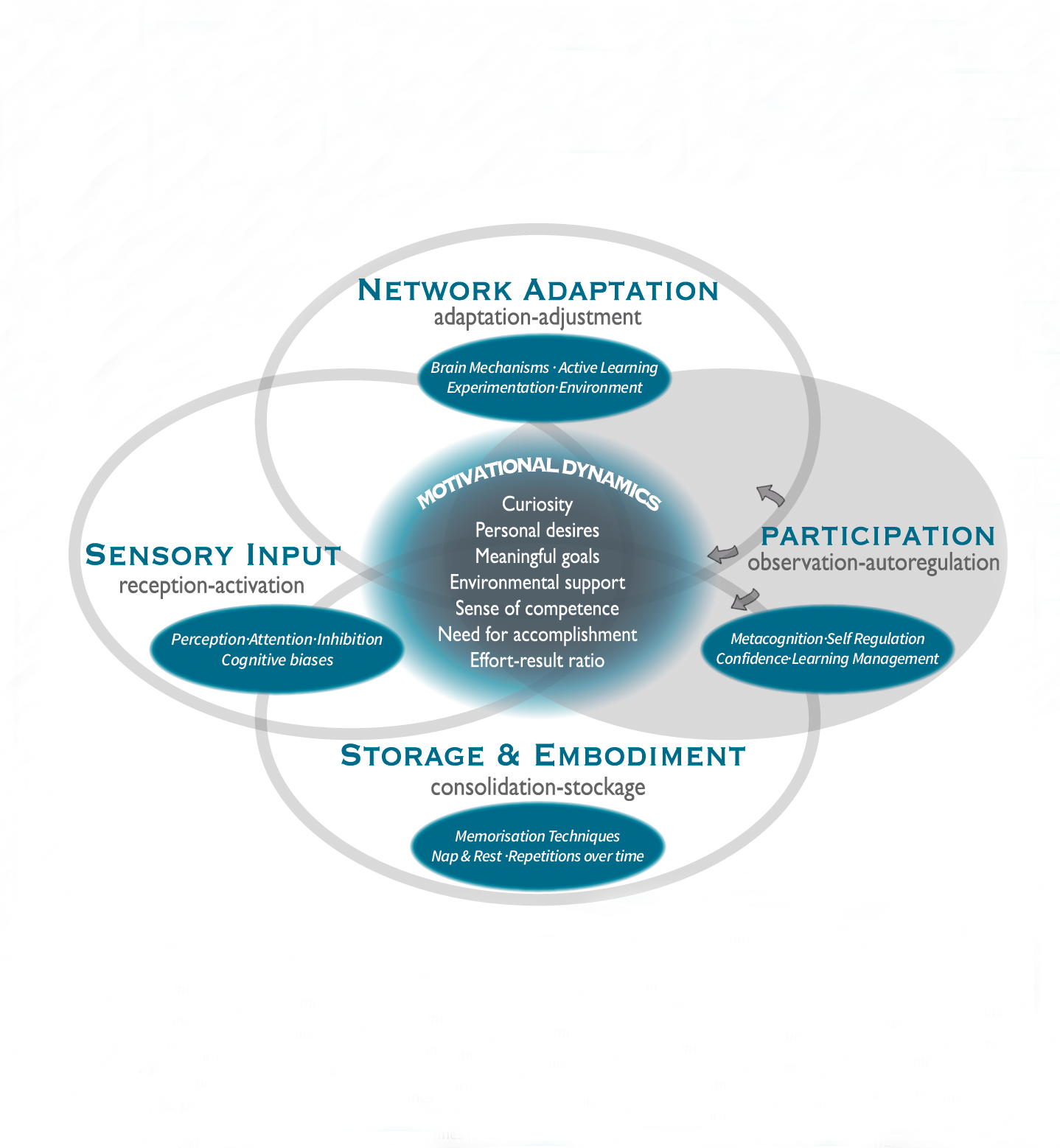 SYNAPSE